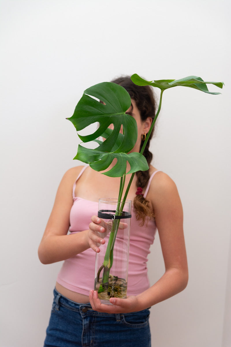 The Classic 10.5'' with Monstera
