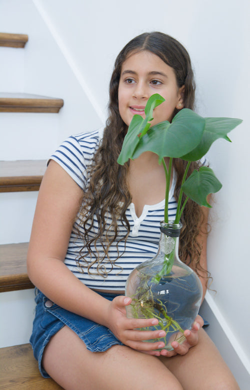 The Big Round 10'' with Monstera