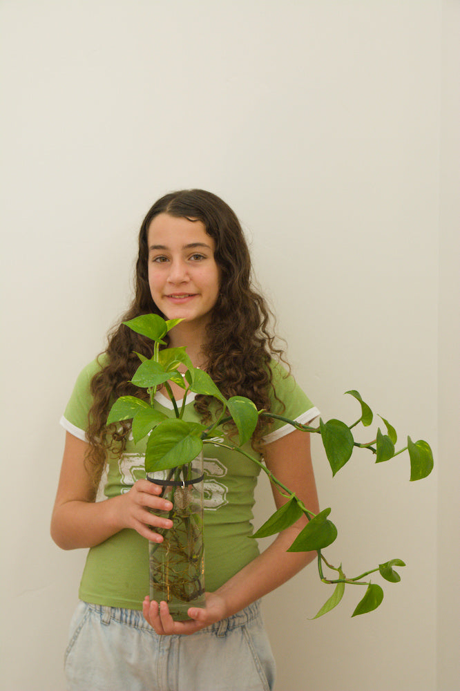 The Classic 10.5'' with Pothos