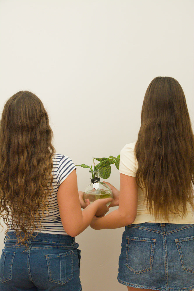 The Round 7'' with Prayer Plant