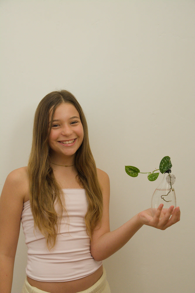 The Flat – 6.25" with Scindapsus pictus or Pothos