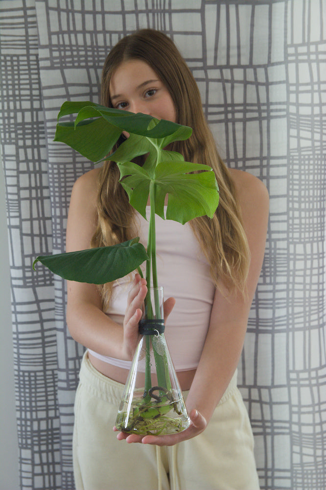 The Chemist 9.25'' with Monstera