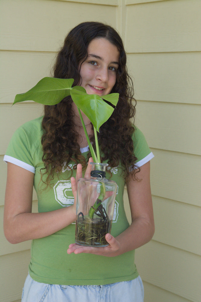 The Bottle 8'' with Monstera
