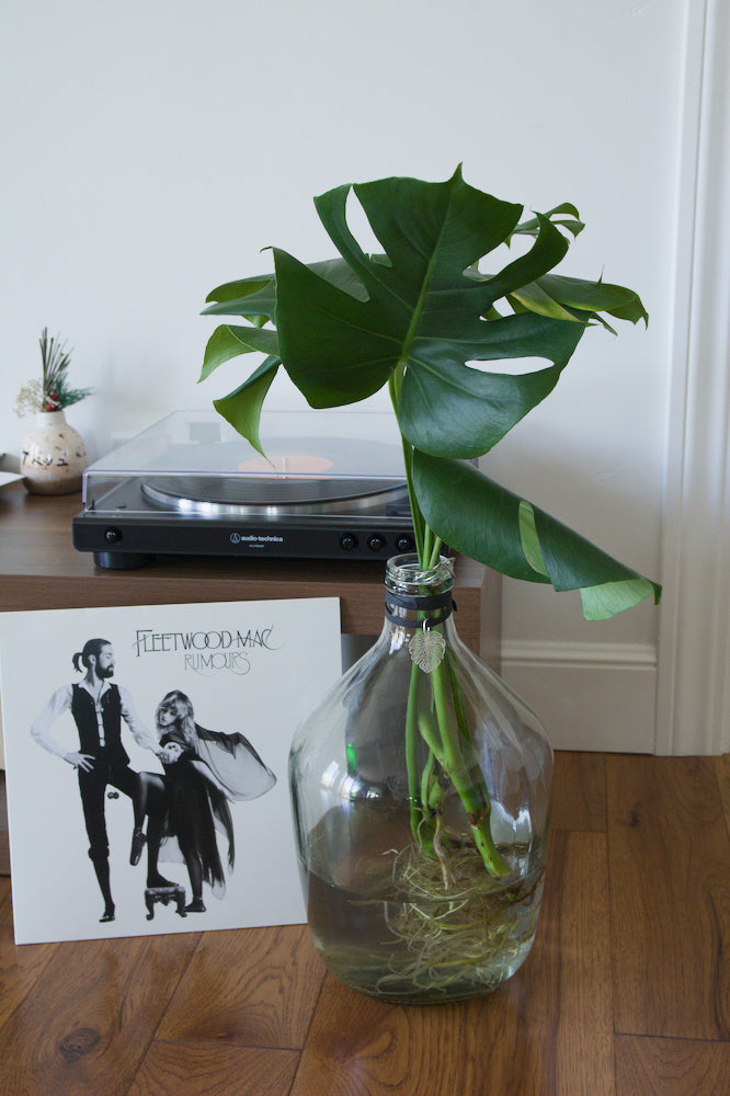 The Tall 15'' with Monstera
