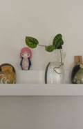 The Flat – 6.25" with Scindapsus pictus or Pothos
