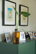 The Bottle 8'' with Monstera