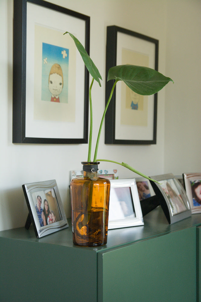 The Bottle 8'' with Monstera